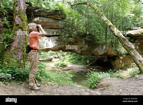 Woman Birdwatcher At Red River Gorge In Daniel Boone National Forest