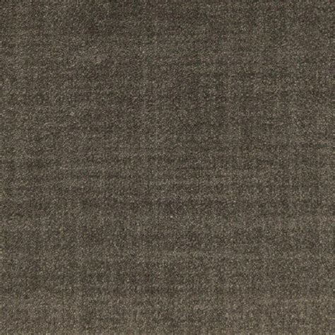 Stainmaster Blue Gray Nylon Fashion Forward Carpet Sample At