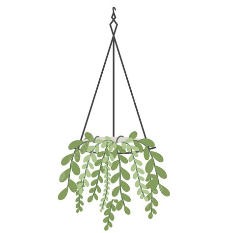 Hanging Plants Png