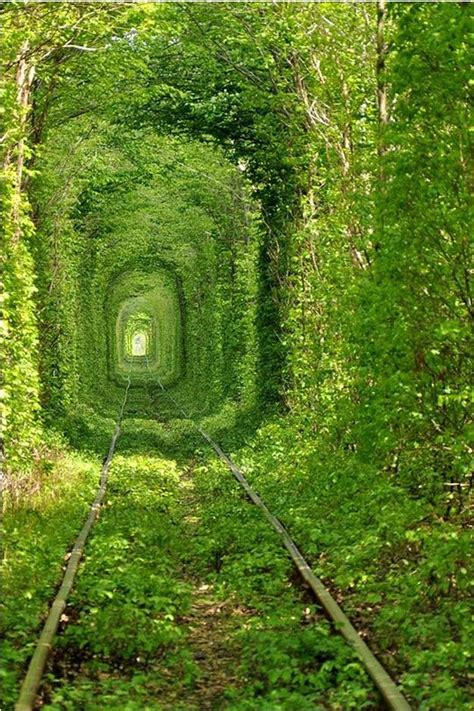 Trainway To Heaven Tunnel Of Love Beautiful Sites Beautiful Places