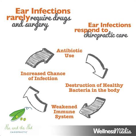 Chiropractic Care Can Help And Prevent Pediatric Ear Infections Pea