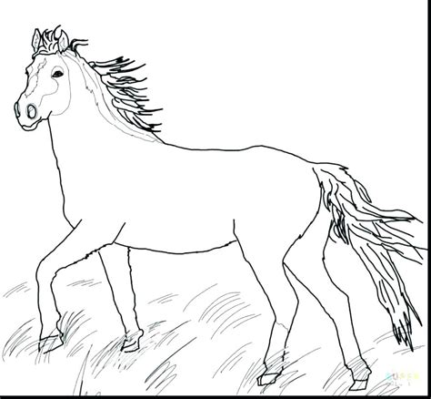 Coloring Pages Wild Horses at GetDrawings | Free download