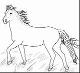 Coloring Horse Herd Getcolorings sketch template
