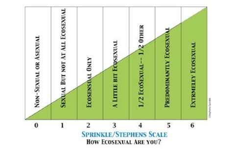 13 Sprinkle Stephens Scale How Ecosexual Are You Download Scientific Diagram