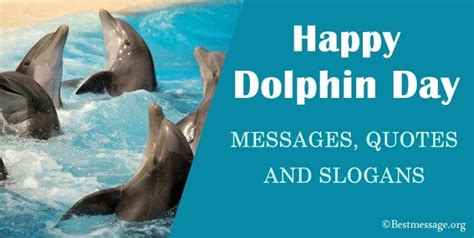 Dolphin Day Messages Quotes Dolphin Slogans Taglines And Wishes