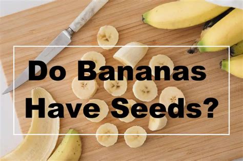 Do Bananas Have Seeds 2023 Dont Miss The Surprising Facts