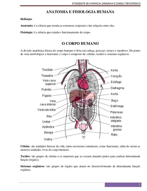 Anatomia Fisiologia Humana
