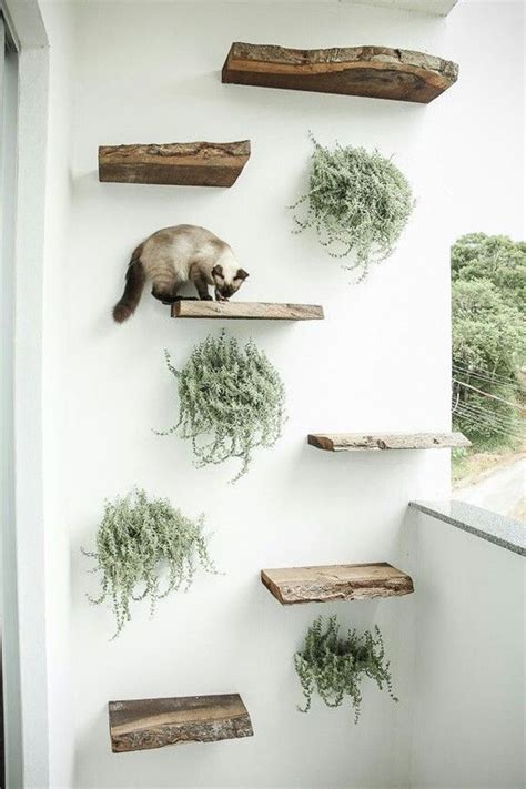 Stylish and functional cat shelves, condos, trees and perches. 30 Modern DIY Cat Playground Ideas In Your Interior | Cat ...