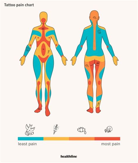 Check Out Tattoo Pain Chart Showing Where You D Probably Get Hurt Most Or Least Science Times
