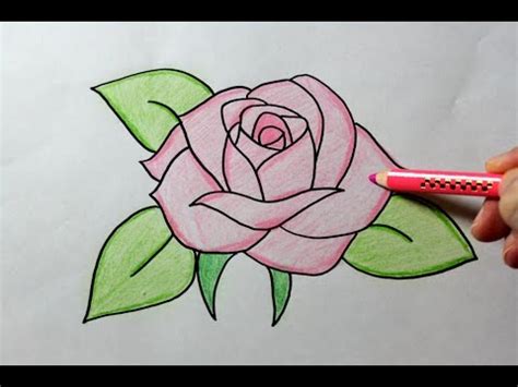 It will be quite fun to learn how to easy draw a rose step by step. DRAWING A ROSE - YouTube