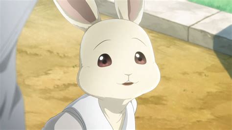 Beastars Haru The Rabbit Is Super Cute In This Cosplay 〜 Anime Sweet 💕