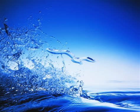 Free Download Water Wallpaper 1600x1280 For Your Desktop Mobile