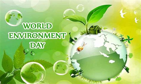 The theme for world environment day 2020 was celebrate biodiversity and is hosted by colombia in partnership with germany. World Environment Day 2020: इस दिन क्यों मनाया जाता है ...