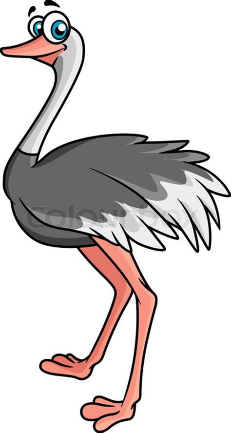 Cartoon Ostrich With Grey Feathers Standing Sideways