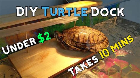 HOW TO BUILD DIY TURTLE BASKING DOCK YouTube