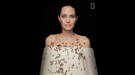 Angelina Jolie Covered In Bees For World Bee Day Ents And Arts News Sky News