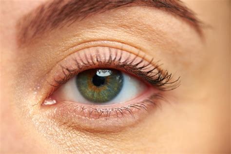 Eyelid Twitch Common Causes Treatment And Prevention