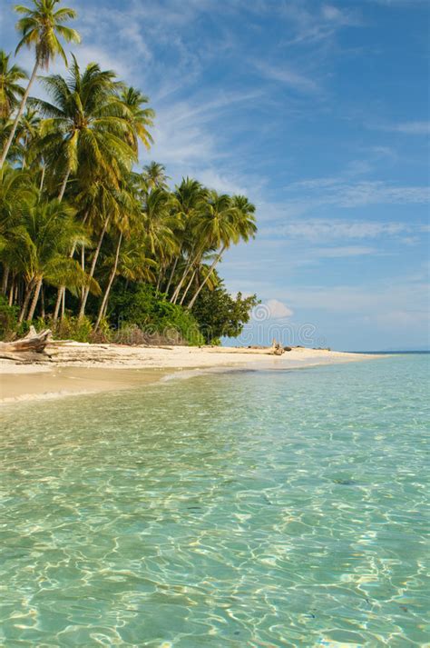 Honeymoon Island Stock Photo Image Of Coconut Palm Tropical 2818110