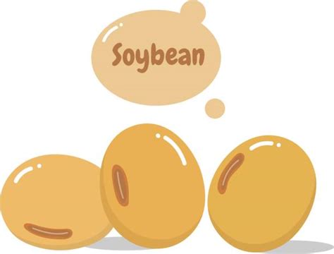 Royalty Free Soybean Cartoon Clip Art Vector Images And Illustrations