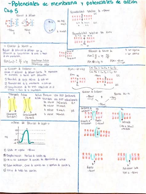 Esquemas Fisiologia Cap Fisiologia Humana I