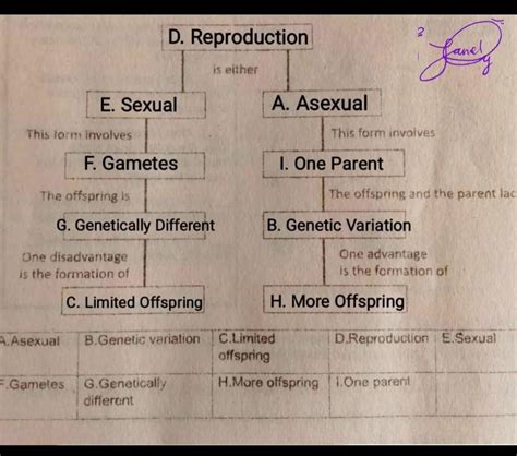 Complete The Concept Map About Sexual And Asexual Reproduction By