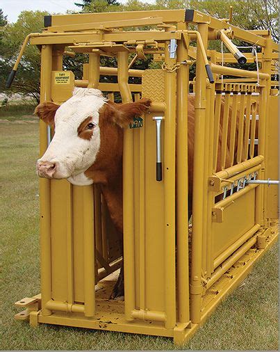 Tuff Livestock Handling Equipment Self Catch Cattle Head Gate By