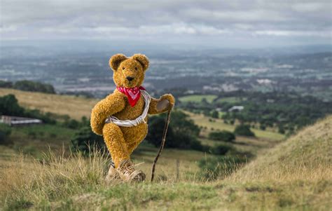 Teddy Bear Adventure Walk 2015
