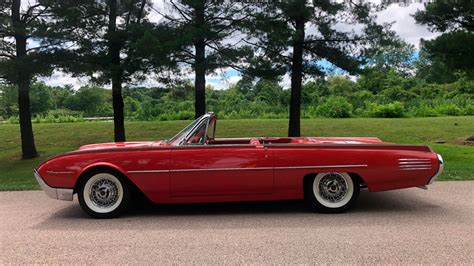 Ford Thunderbird Birch Bark Car Br