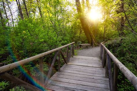 Shoreline Trail Port Moody Greater Vancouver British Columbia