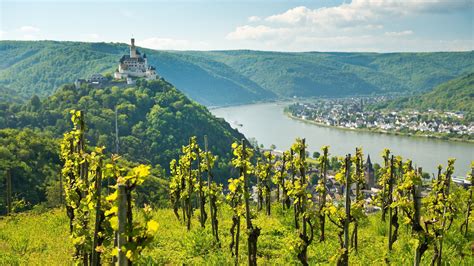 Wandern In Rheinland Pfalz Entdecke Deutschland