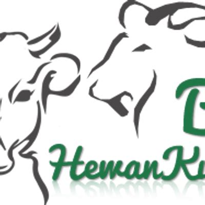 5300 Gambar Hewan Qurban Png HD - Gambar Hewan