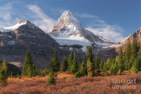 Mt Assiniboine In Fall Canada Photograph By Terenceleezy