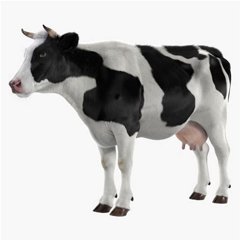 3d Cow Realistic Model Cow Cow Drawing Environmental Art