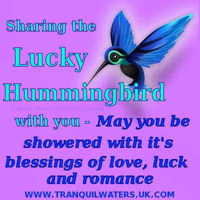 May sunshine follow every step you take! hummingbird quotes | good luck, elephant, hummingbird, horseshoe, wishing well, lucky ... | Good ...