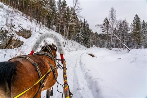 Life In Siberia 2024 A Photo Documentary Of The Local Lifestyle