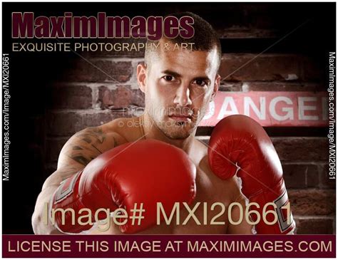 Stock Photo Fighter In Boxing Gloves Maximimages