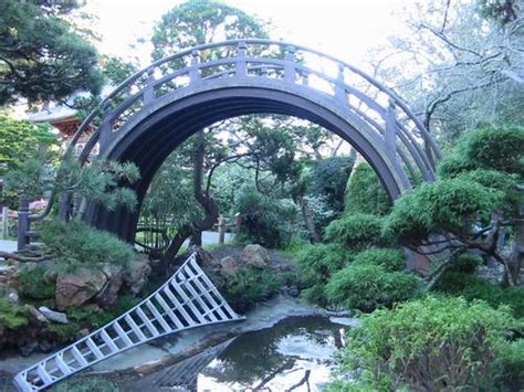 Japanese Tea Garden Moon Bridge And Ladder