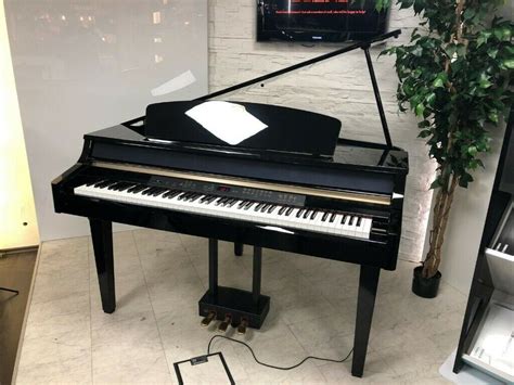 Yamaha Digital Baby Grand Piano 265gp As New Delivery Available