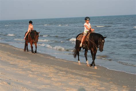 Two Bit Stable Horseback Riding On The Beach Port St Joe Florida