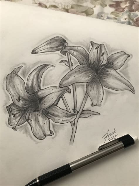 Lily Stargazer Drawing Flower Drawing Drawings Compass Tattoo