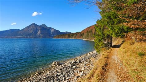 Landscape Of Mountain And Rocks Shore Trees In Bavarian Lake Under Blue