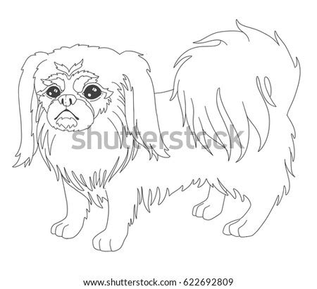 Click here and download the pekingese dog coloring page for adults graphic · window, mac, linux · last updated 2021 · commercial licence included Pekingese Stock Images, Royalty-Free Images & Vectors ...