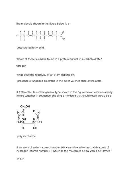 Honors Biology Midterm Study Guide Pdf Chemical Bond Atoms