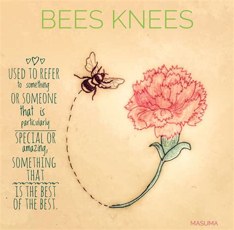 Bee Knees Swabhaw Where You Feel Words