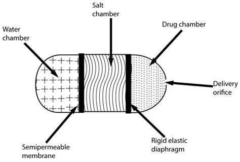 Pharmaceuticals Free Full Text Osmotic Pump Drug Delivery Systems—a