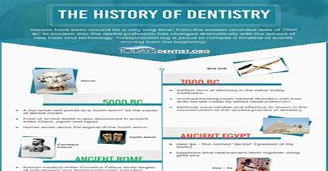 The History Of Dentistry Infographic Infographics