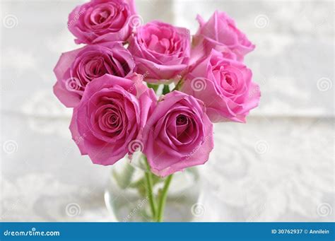Pink Roses Stock Image Image Of Blooms Friendship 30762937