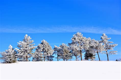 Landscape Winter Seasons Trees Snow Wallpapers Hd Desktop And