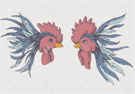 Fighting Rooster Vector at GetDrawings.com | Free for personal use Fighting Rooster Vector of ...