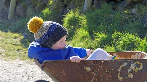 Small Boy Sitting In A Wheelbarrow On Farm Stock Image Image Of
